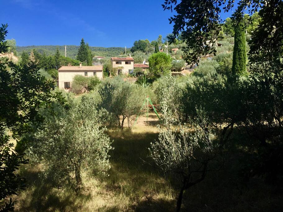 Les deux maisons se trouvent dans notre oliveraie