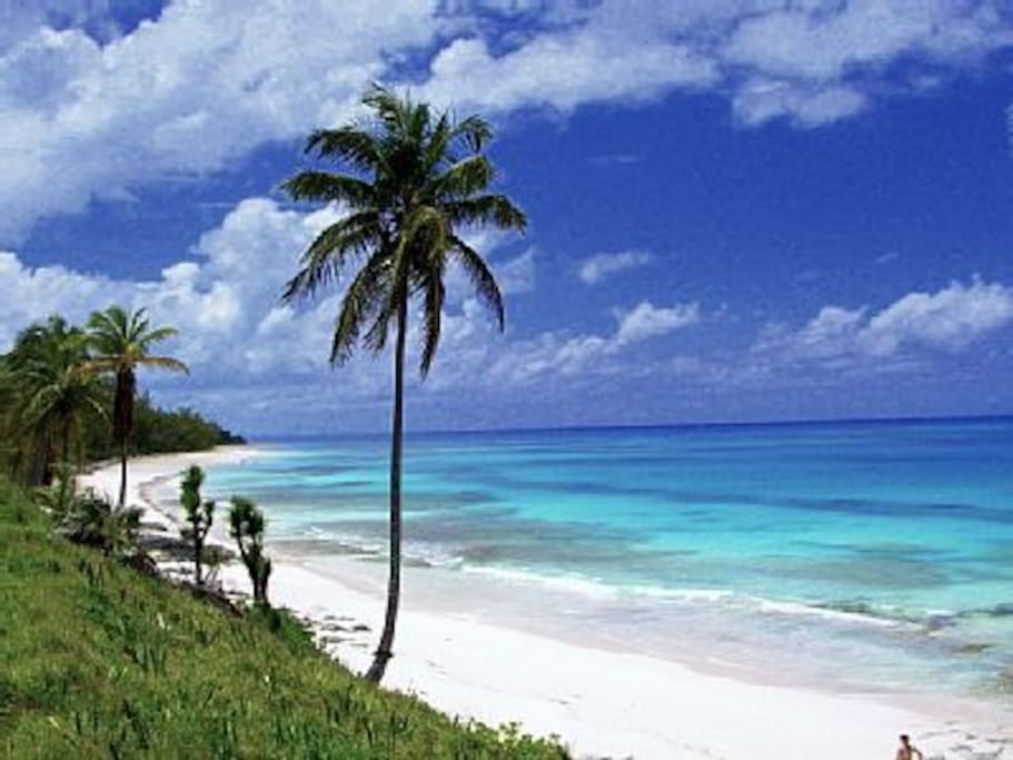 Our spectacular pink sand beach