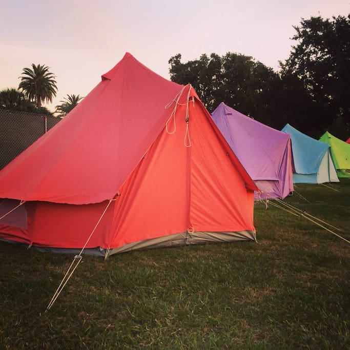Colorful Tents!