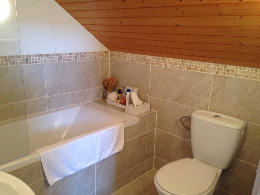 Attic Suite Houses for Rent in Tannay, Vaud, Switzerland