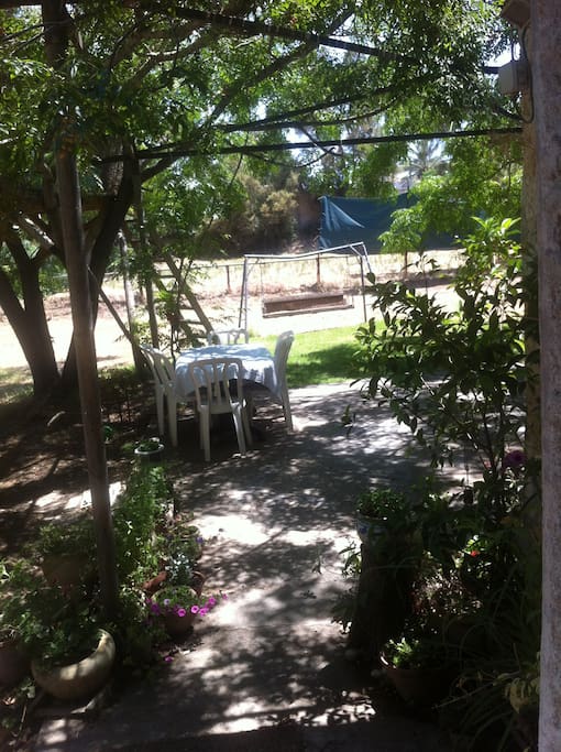 Big private yard and patio