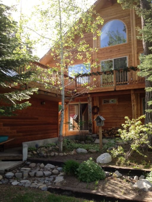 Cabin in summer