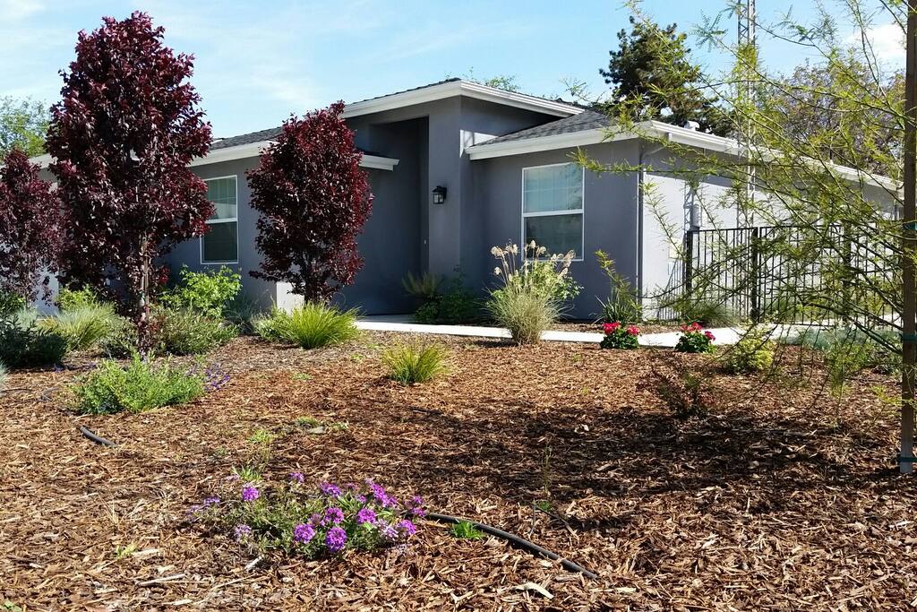 House side garden.