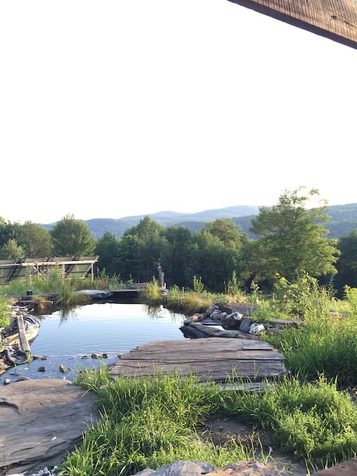 The living swimming pool is very private, and surrounded by large flat rocks. Guest have the freedom to enjoy the Vermont tradition of skinny dipping and clothes free sunbathing, or even yoga and napping.