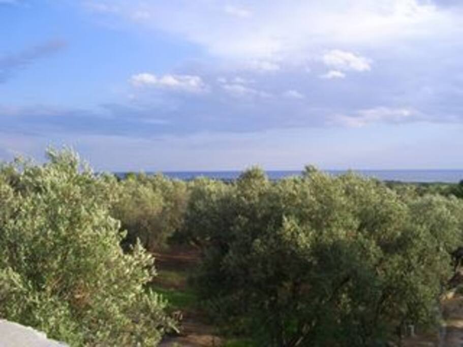 .... e dalla terrazza il mare!