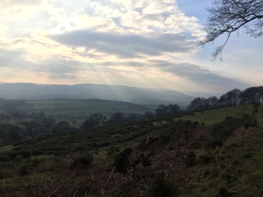 Come and find yourself in West Somerset