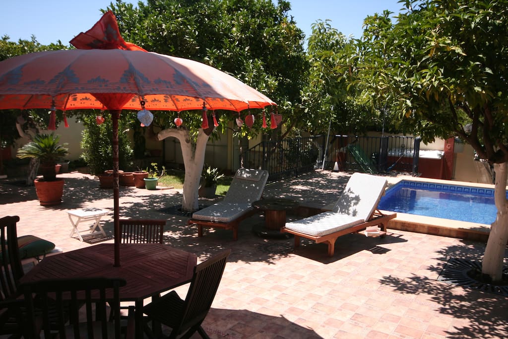 La piscine et ses terrasses