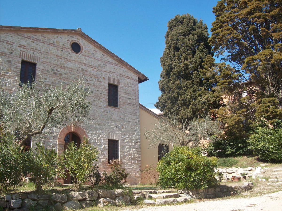 The rustic stone building of Villa Dorata is positioned under a clear blue sky. Surrounding olive trees and green shrubs create a serene landscape, while a gravel path leads to the entrance. The structure showcases traditional architectural features with numerous windows.