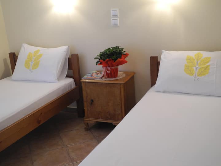 一楼-3间卧室，配备2张1米宽单人床