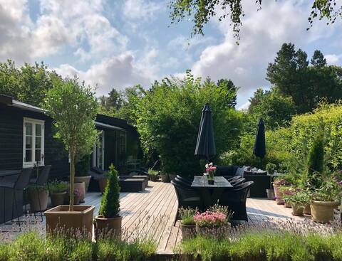 Near the beach. Peaceful garden with many terraces