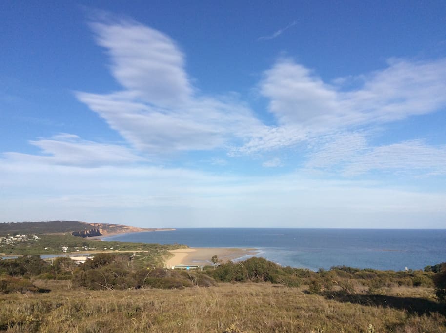Anglesea cliffs