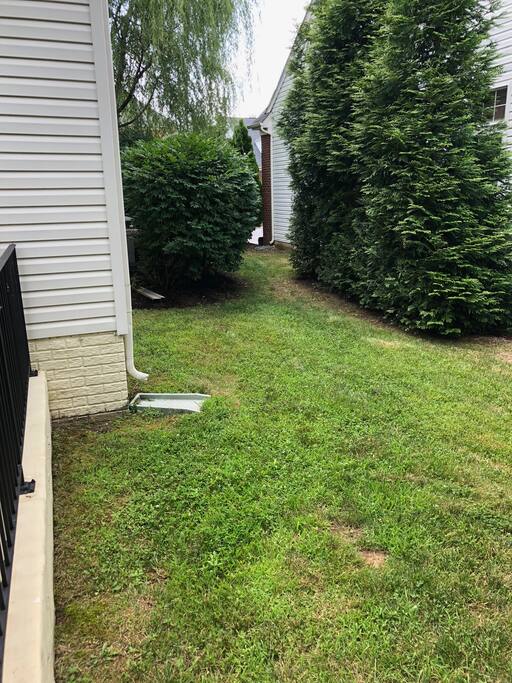 Backyard path