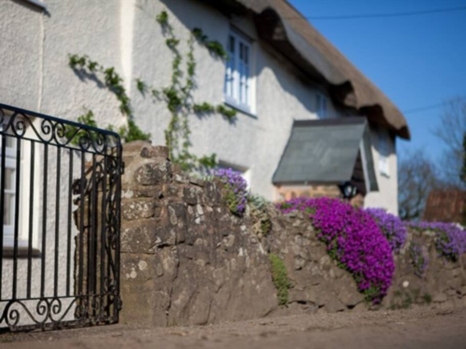 Fernside