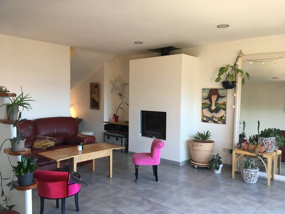 salon
