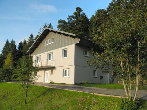 Propriété Airbnb réussie: Apartment between lakes and mountains à Xonrupt Longemer