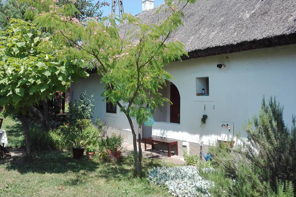 garden with stone walls around
