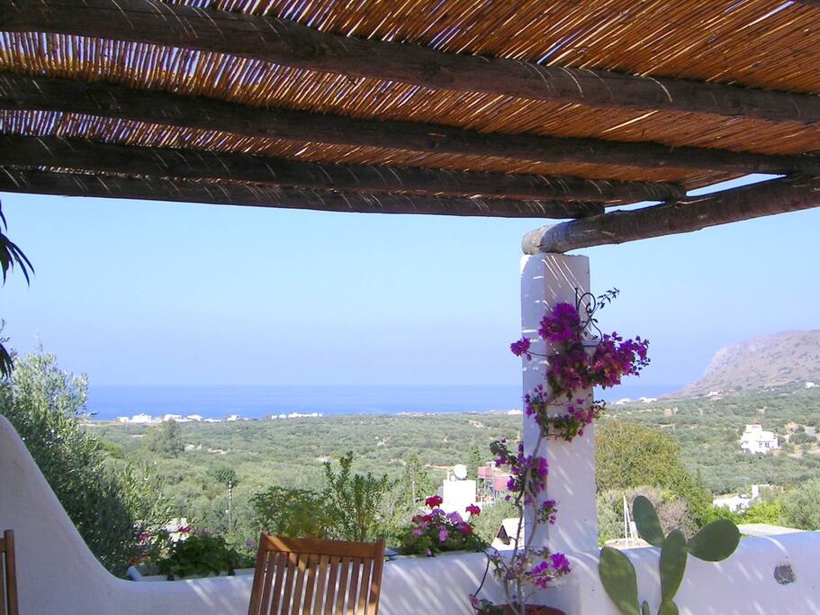 View from the terrace