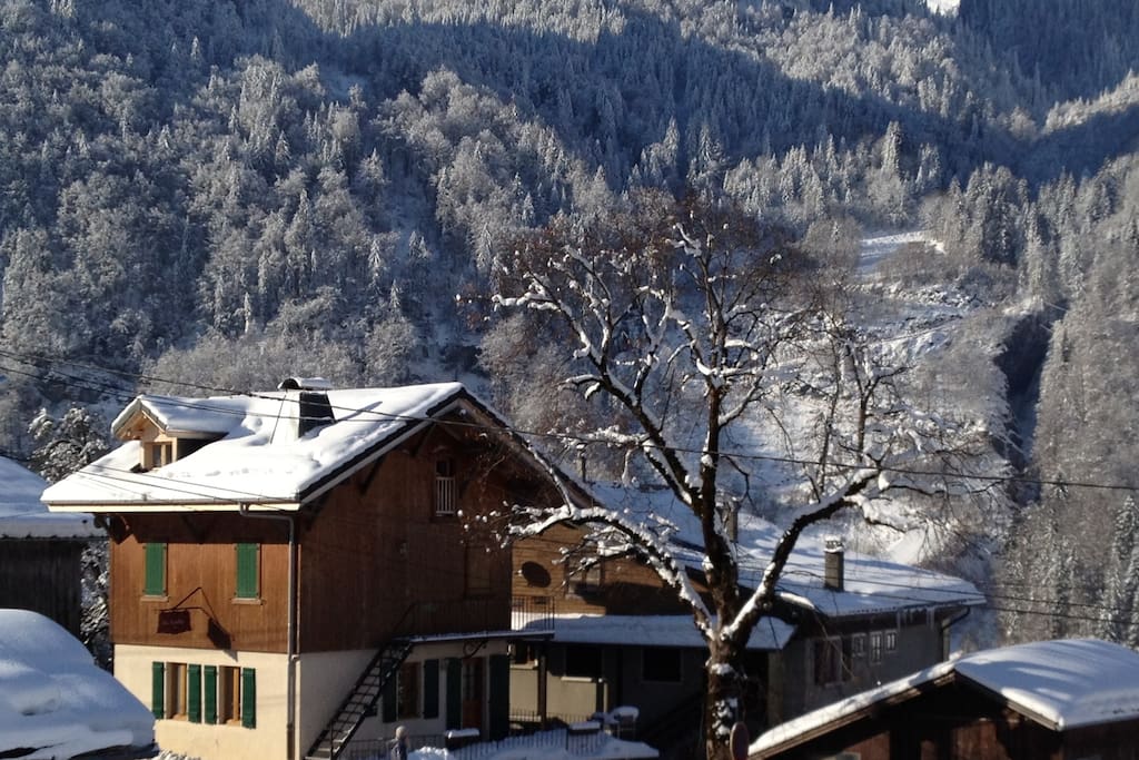 Duplex Chalet Apartment - Ski to door