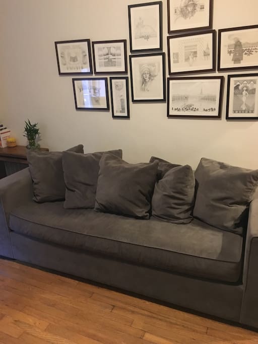 Comfortable couch that pulls out and sleeps 2
