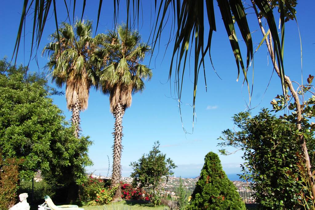 JARDIM