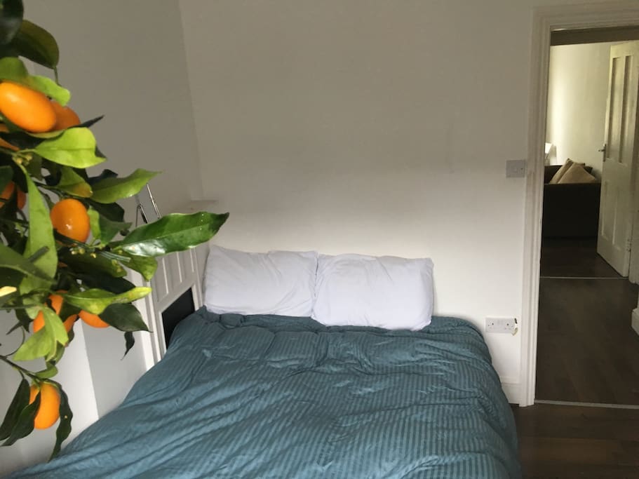 It's actually a really comfortable bed, to be honest...