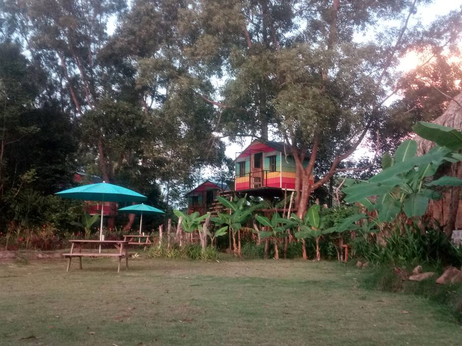 The Birdhouse