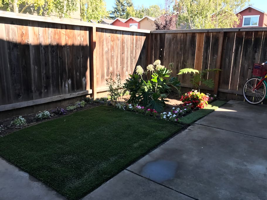Very fresh and beautiful garden