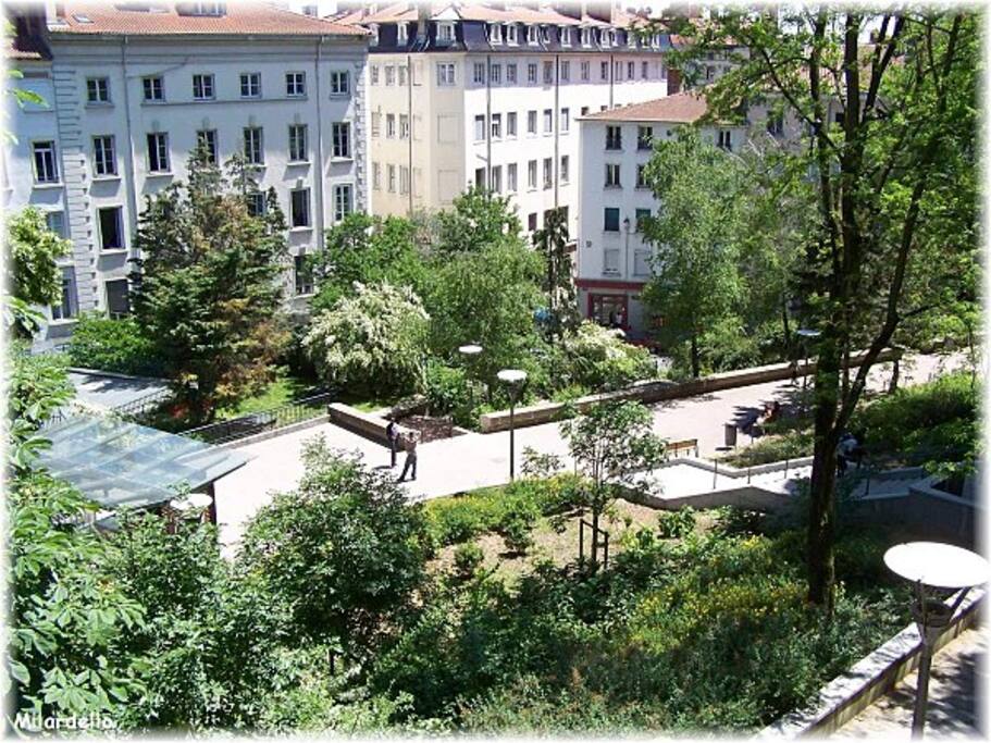 Parc face à l'appartement