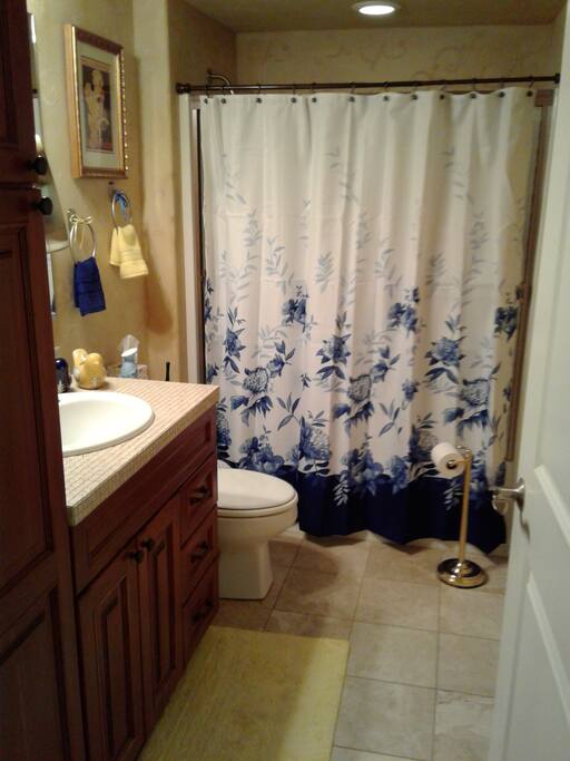Private Bathroom Tub/Shower