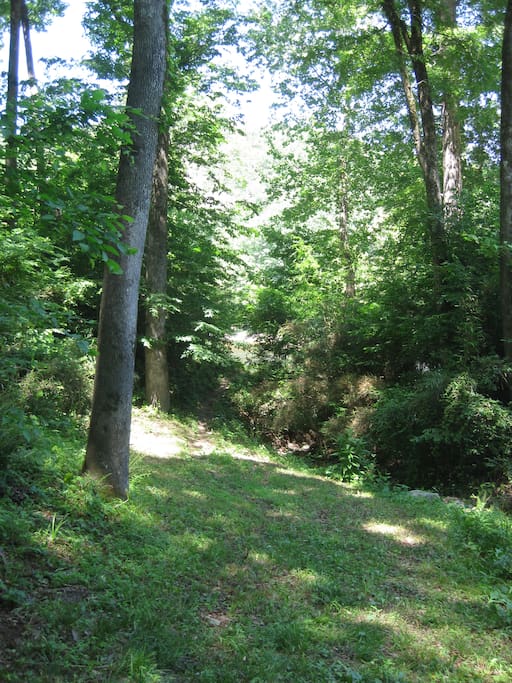 Trail to the river