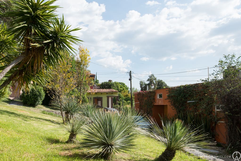 Front gardens