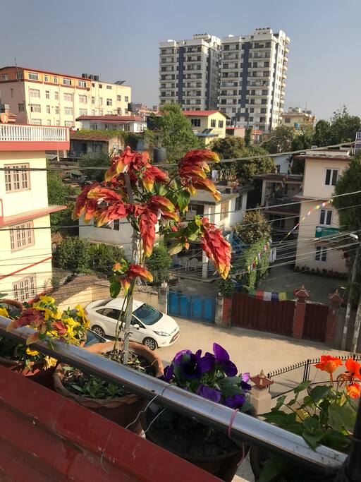 view from roof top