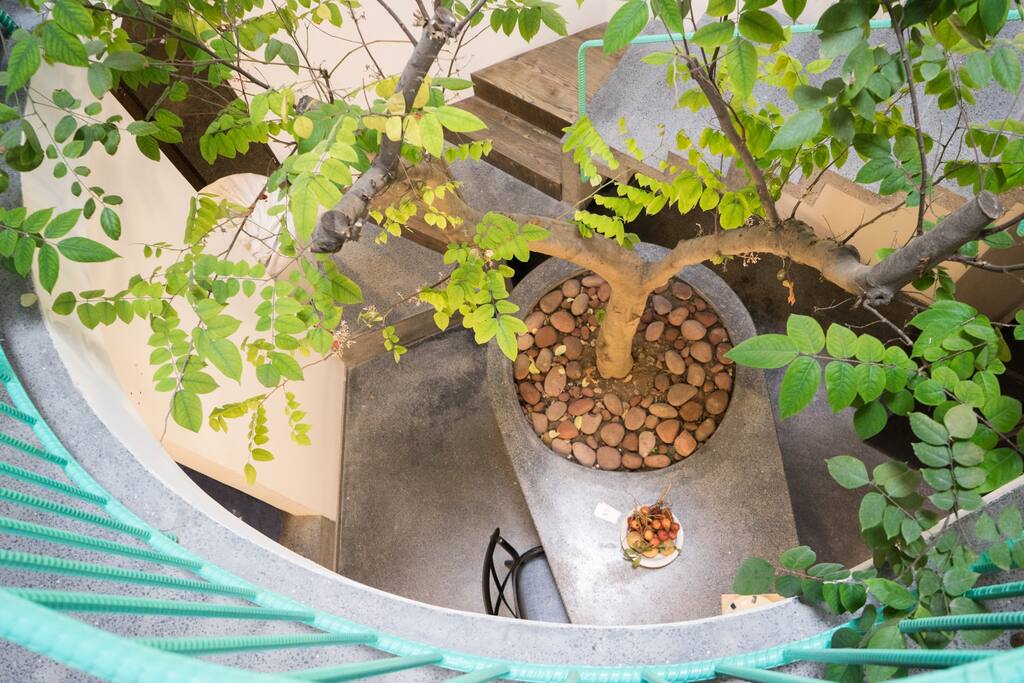 The 10-years old starfruit tree is the foundation when designing our home. This tree has a special meaning to its owner because it was grown in another distance, planted by his parents in the garden they grew up in.