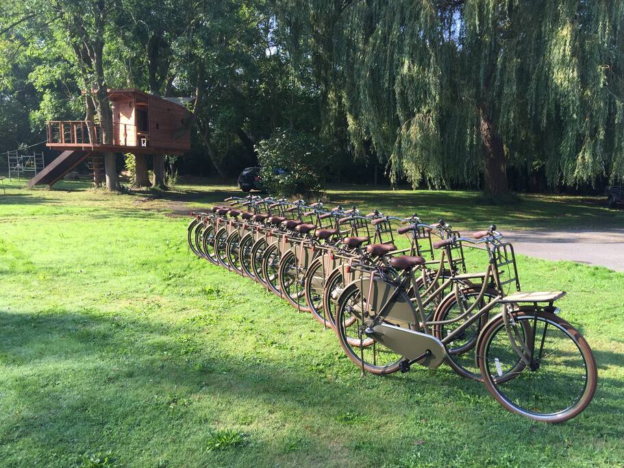Villa Louis beschikt over 12 comfortabele fietsen die het verblijf nog aangenamer maken... Een fietstochtje langs het strand, of naar het centrum, of via één van de vele fietsroutes, het kan allemaal...