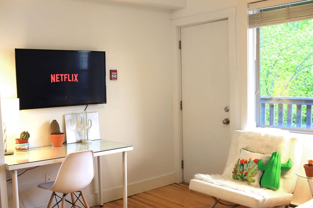 A 45' tv with streaming Netflix.