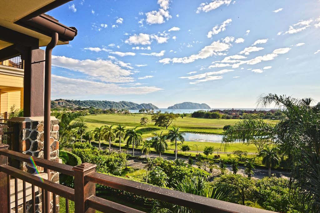 View from the terrace