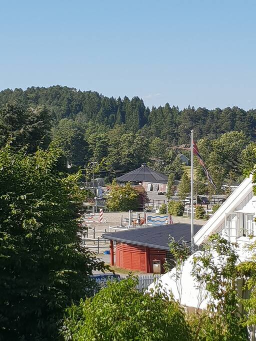 View of riding club from terrace