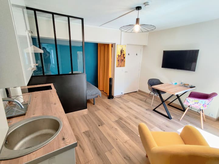 Charmant Studio 21m2 Plein Centre Jardin De Ville - Grenoble