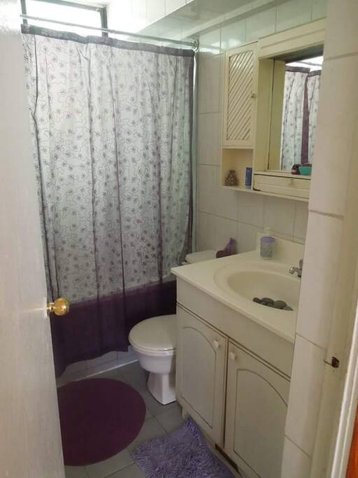baño principal de la casa, se comparte principalmente la ducha con los que vivimos.