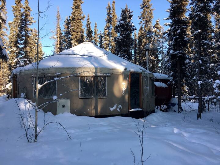 Comfortable Yurt on Acreage Minutes from Downtown Yurts for Rent in