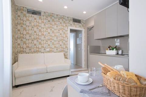 Modern and comfortable small one-bedroom apartment