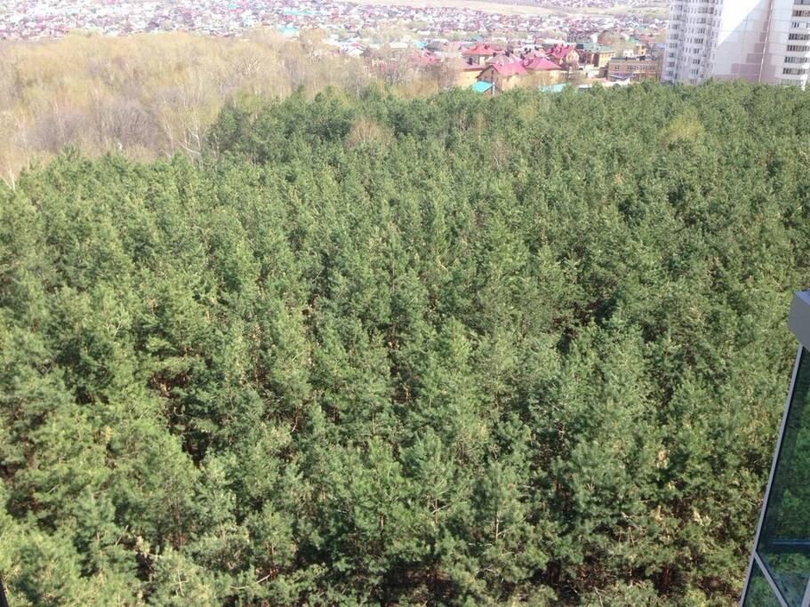 Вид из комнаты с балконом.
