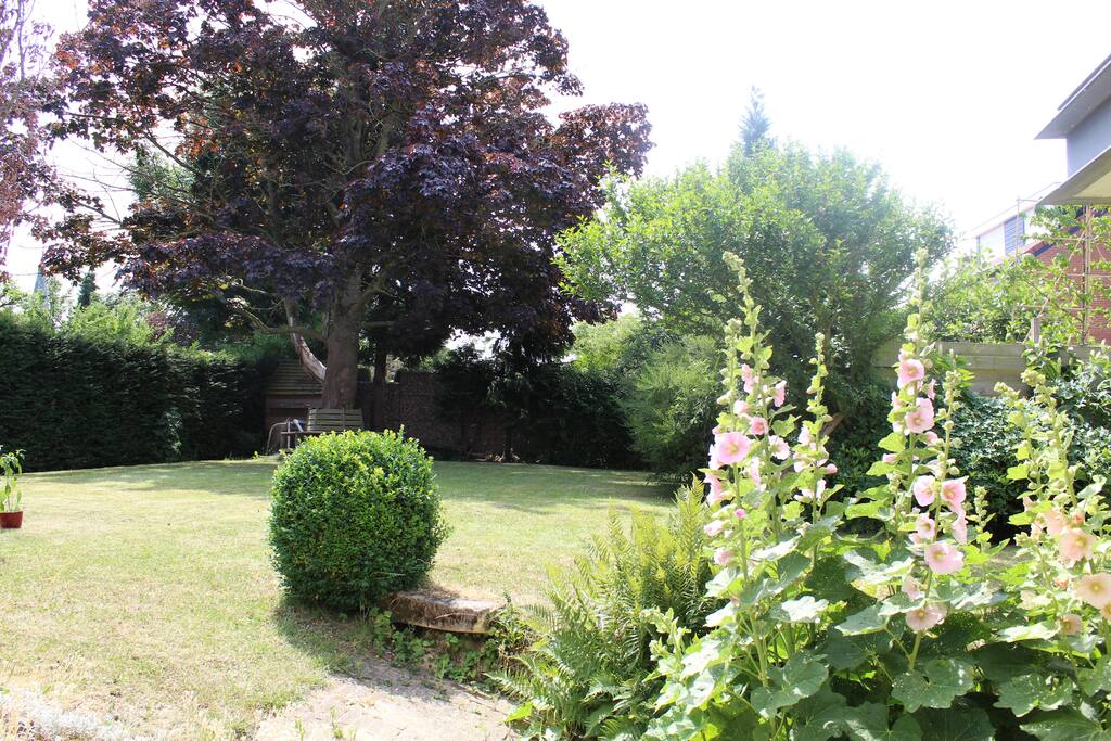 Achtertuin