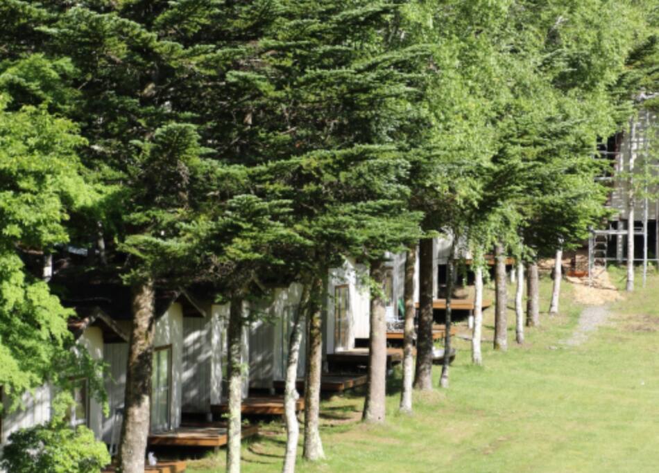 Cabins