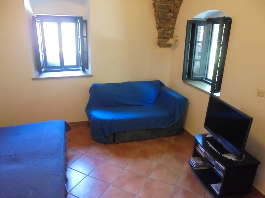Classique Apartment inside sofa and TV