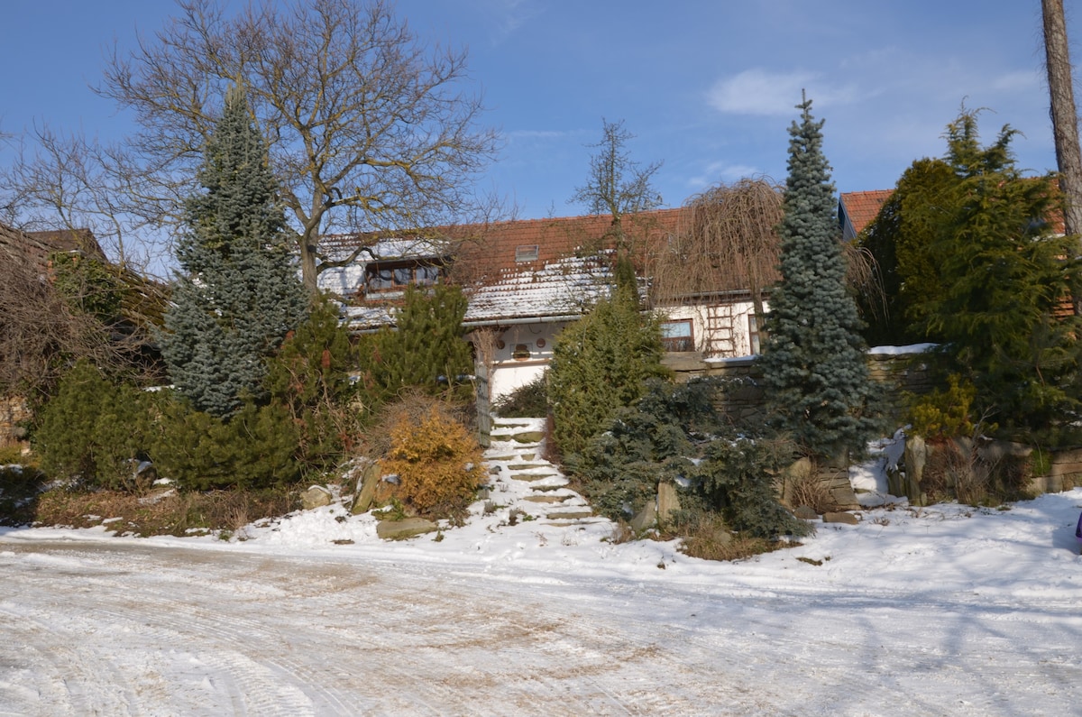 A snow-covered landscape surrounds the chalet, with a brick walkway leading up to the entrance. Lush green shrubs and evergreen trees provide a natural border. The house features a steeply pitched roof and a blend of rural architecture harmoniously set against a clear blue sky.