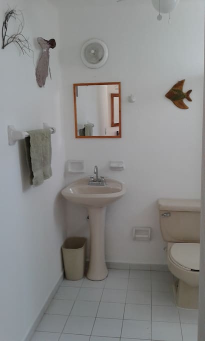 BAÑO COMPLETO CON REGADERA