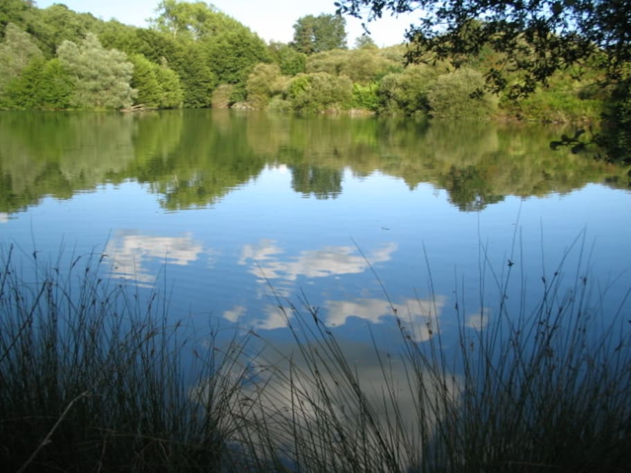 swimming lake 1ha