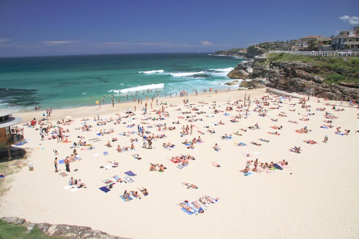 Tamarama Luxury House Pool And Ocean Views Houses For Rent In Tamarama New South Wales Australia