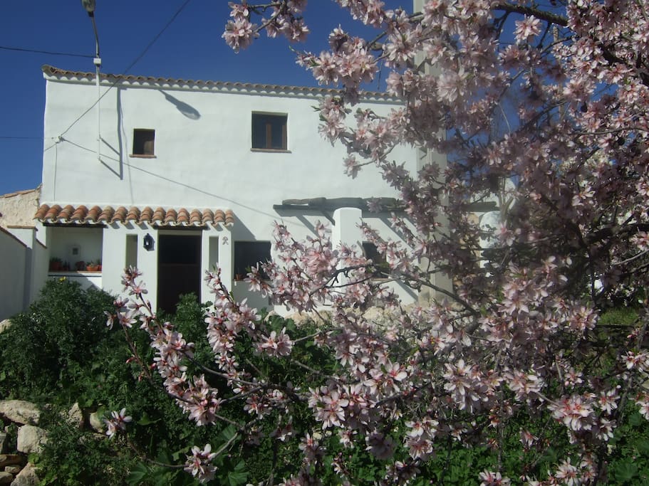 Casa Mariavilla February time